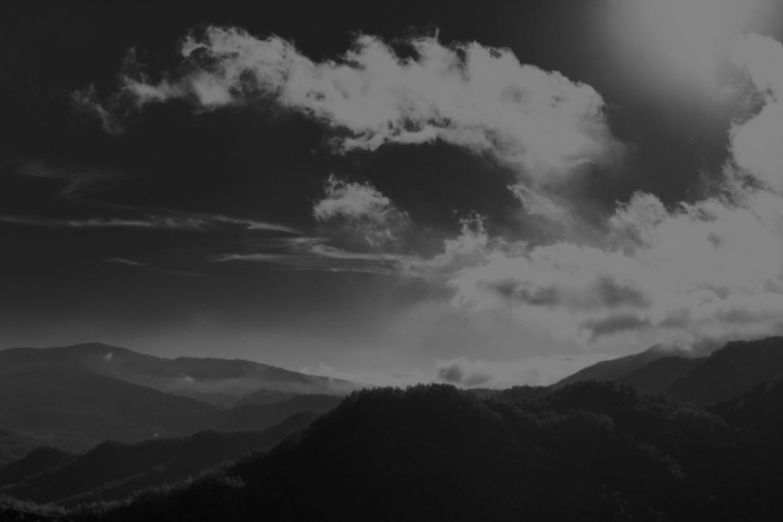 Catching the sun